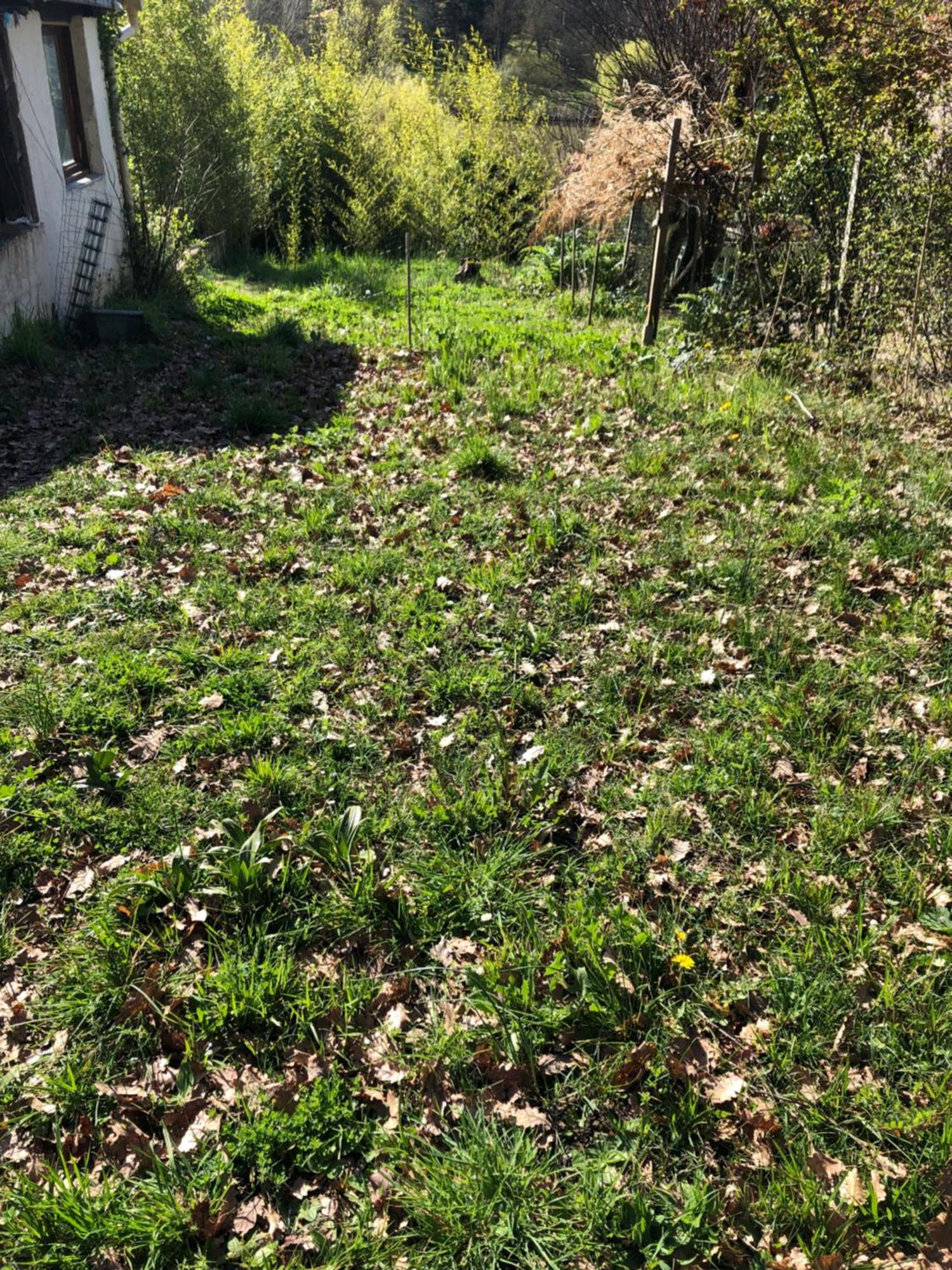 Logement Entier Aussonne Exterior photo